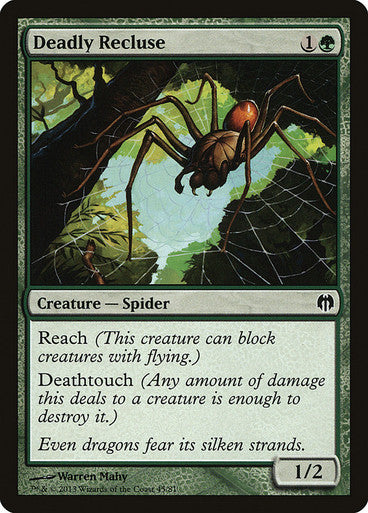Deadly Recluse