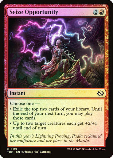 Seize Opportunity Foil