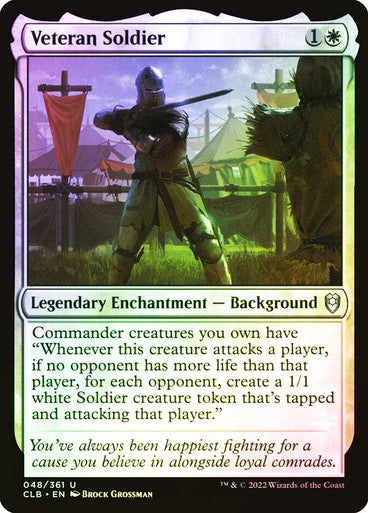 Veteran Soldier Foil