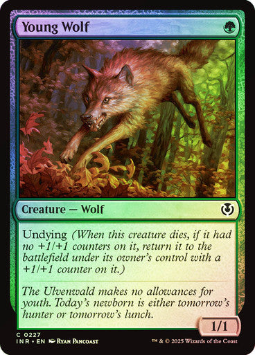 Young Wolf Foil
