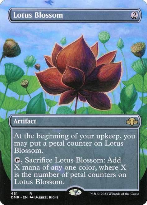 Lotus Blossom - Borderless