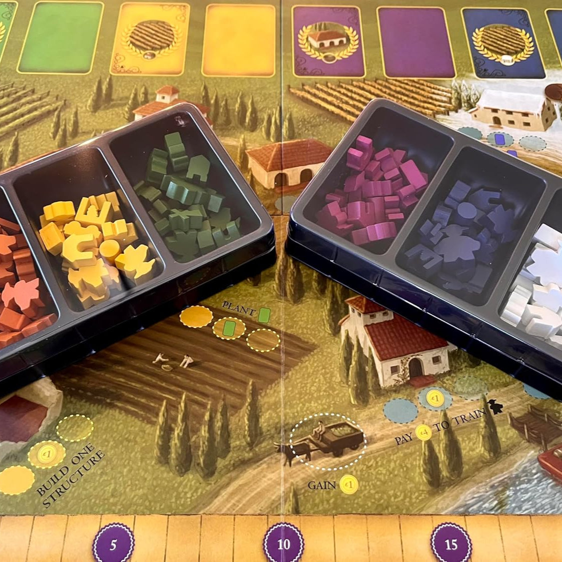 Viticulture: Essential Edition - INGLÉS