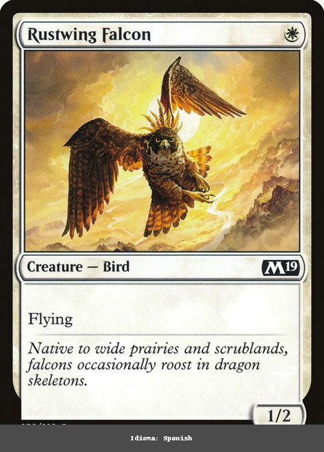 Rustwing Falcon - Spanish - Spanish