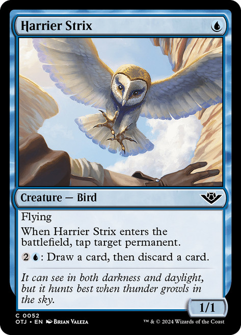 Harrier Strix - Regular