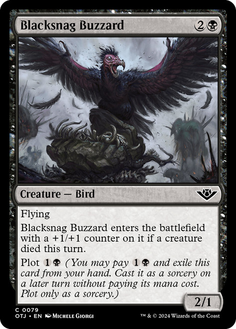 Blacksnag Buzzard - Regular