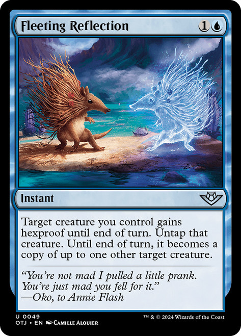 Fleeting Reflection - Regular