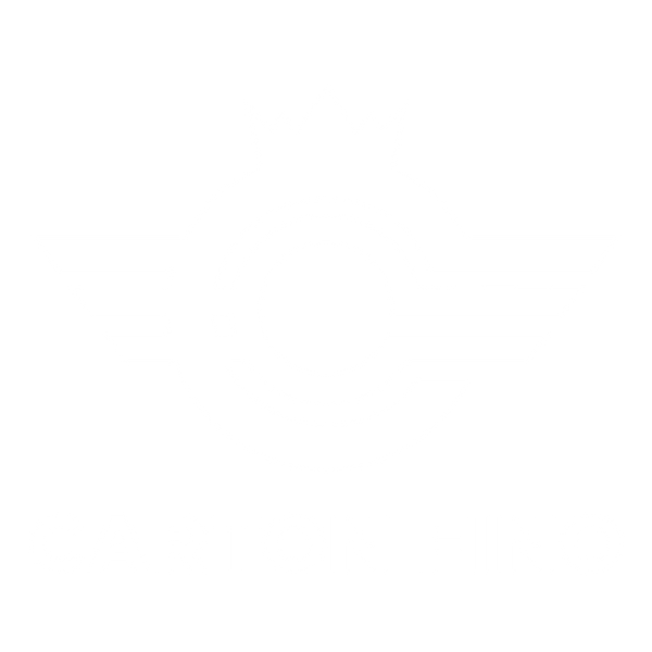 Carton Fino