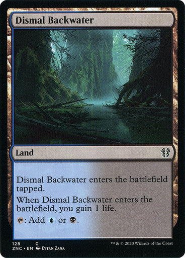 Dismal Backwater