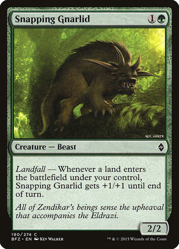 Snapping Gnarlid (Spanish)
