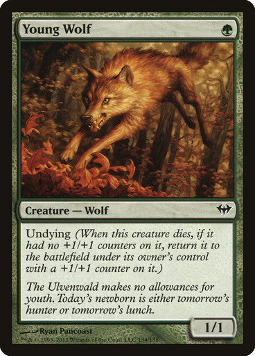 Young Wolf (Spanish)