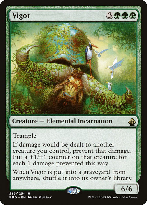 Vigor - Regular