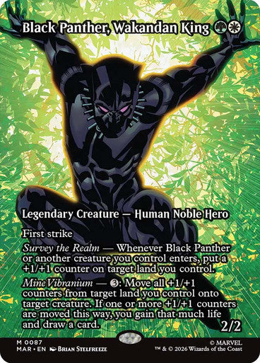 Black Panther, Wakandan King (Borderless)