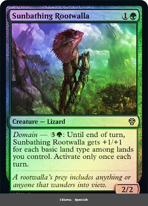 Sunbathing Rootwalla - Regular - Spanish