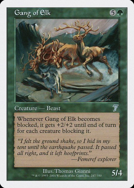 Gang of Elk - Regular