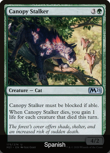 Canopy Stalker [Spanish]