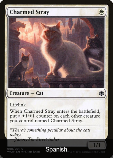 Charmed Stray [Spanish]