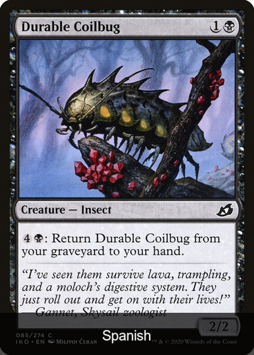 Durable Coilbug [Spanish]