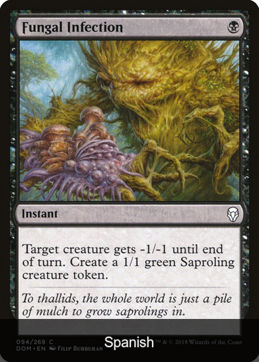 Fungal Infection [Spanish]