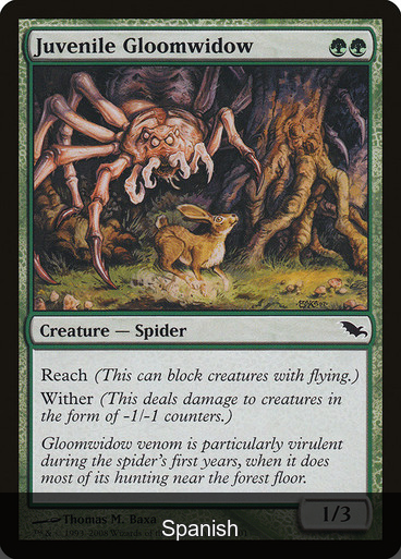 Juvenile Gloomwidow [Spanish]