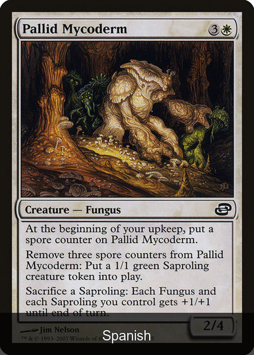 Pallid Mycoderm [Spanish]