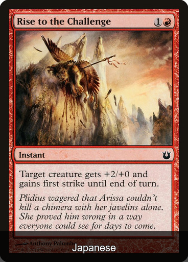 Rise to the Challenge [Japanese]