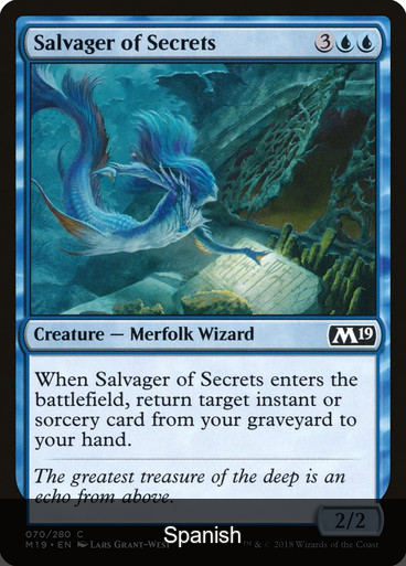 Salvager of Secrets [Spanish]