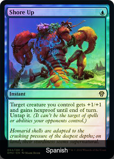 Shore Up Foil [Spanish]