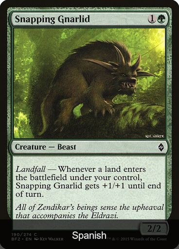 Snapping Gnarlid [Spanish]