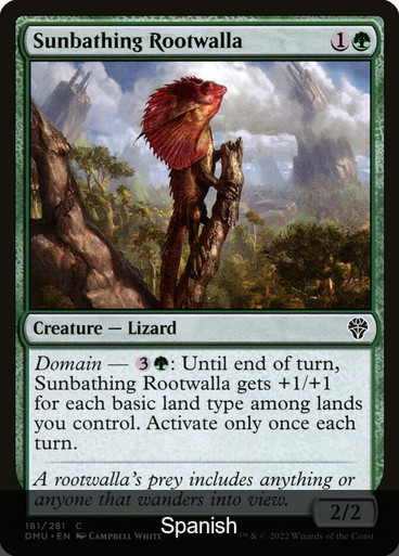 Sunbathing Rootwalla [Spanish]