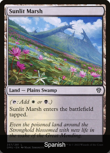 Sunlit Marsh [Spanish]