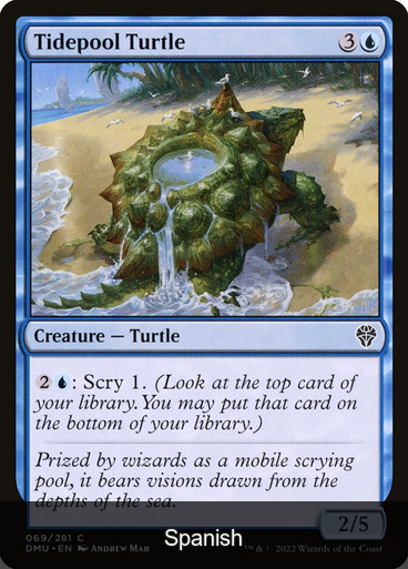 Tidepool Turtle [Spanish]