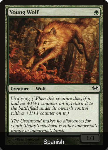 Young Wolf [Spanish]